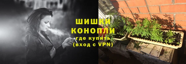 стаф Осташков