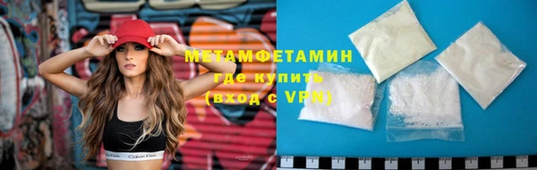 прущие грибы Нягань