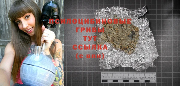 стаф Осташков