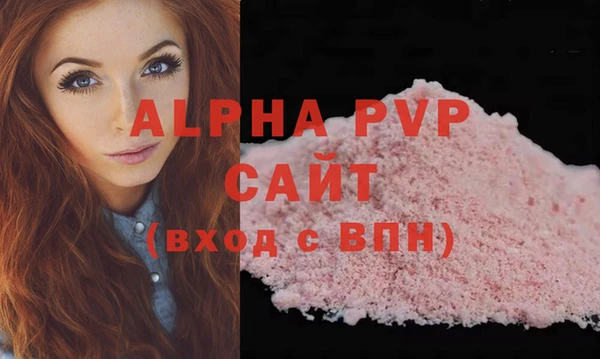 стаф Осташков