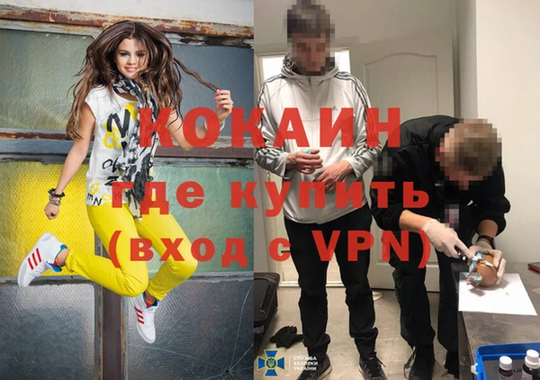 таблы Няндома
