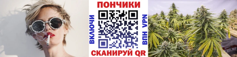 закладка  Чегем  Конопля White Widow 